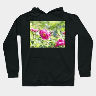 Busy Bee and Flower Hoodie